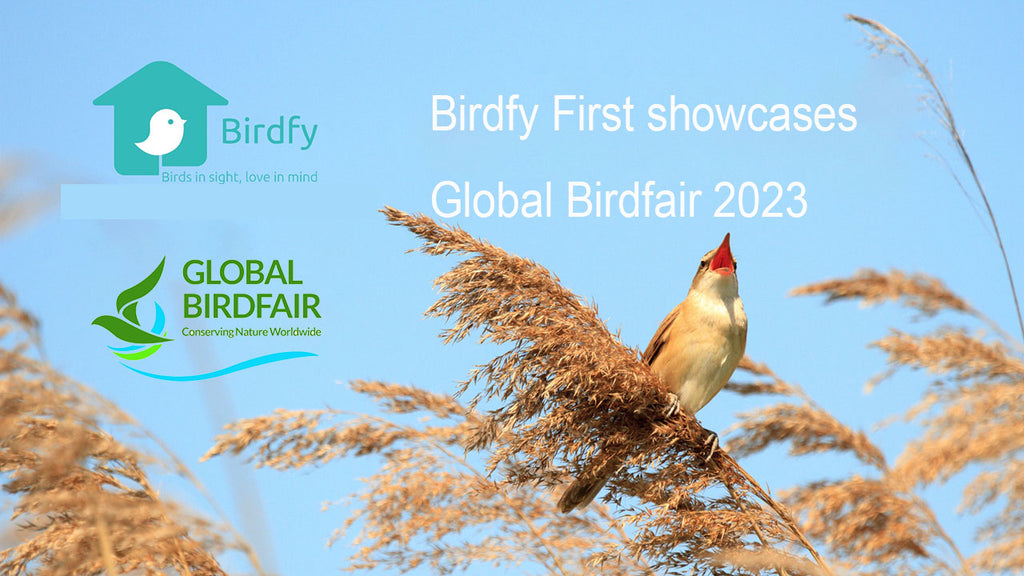 Global Birdfair 2023: Birdfy First showcases as the first innovative intelligent bird watching product