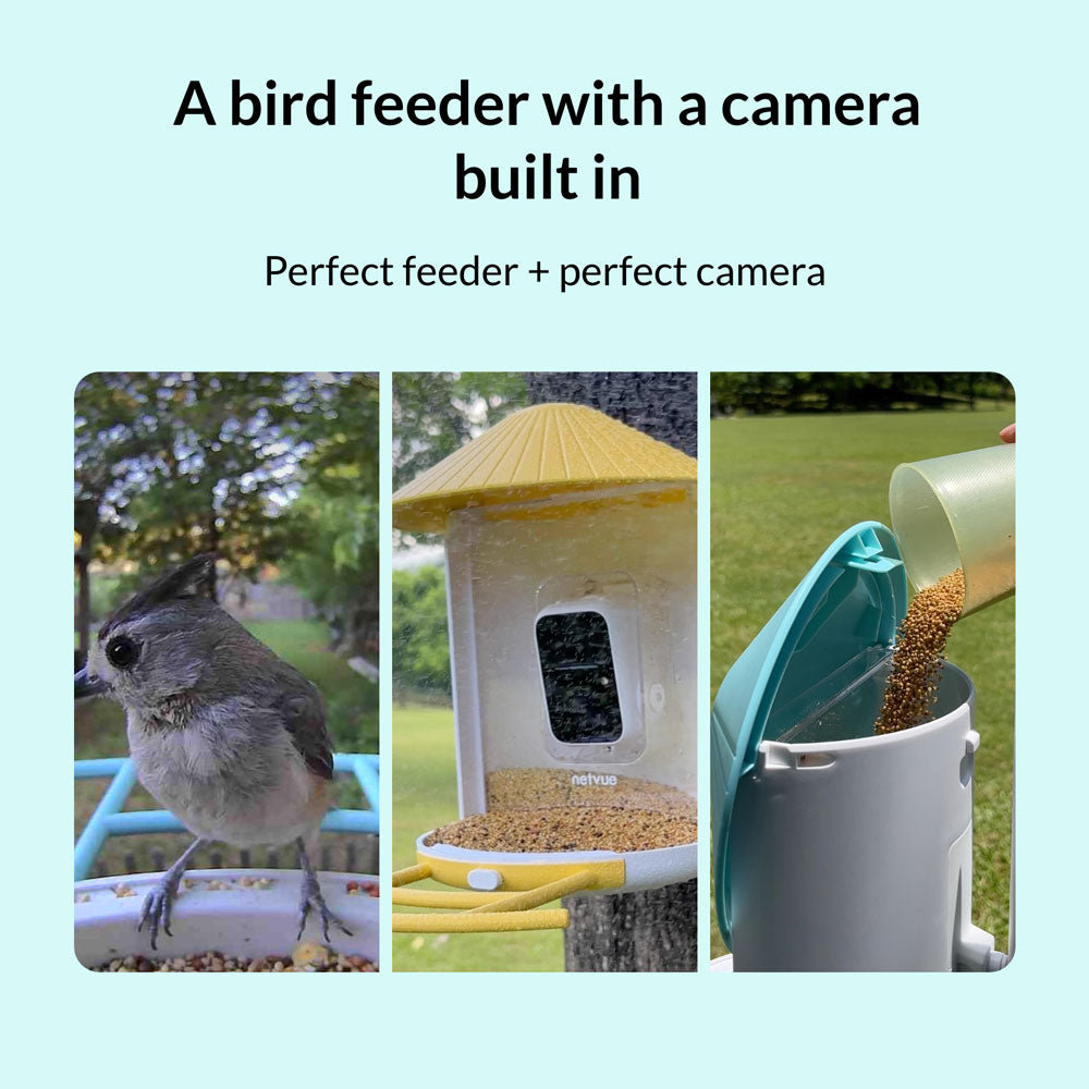 NETVUE Caméra de Mangeoire Oiseaux à Batterie, AI Reconnaissance des  Espèces d'Oiseau, WiFi, Capture Automatique Images/Vidéos, IP65 Etanche  (Birdfy Feeder+Panneau Solaire) : : Jardin