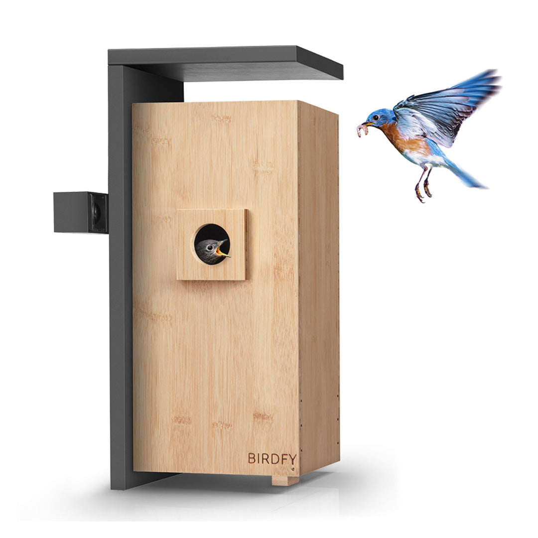 Birdfy Nest - Dual Camera Smart Bird House