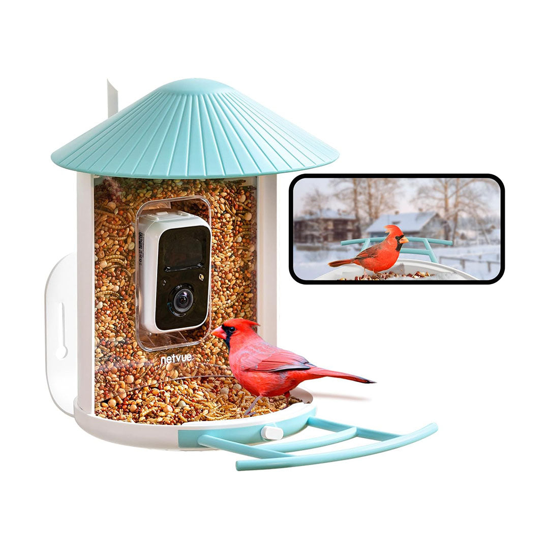 Bird Feeder Camera with Motion Detection & AI Birds Recognition – netvue