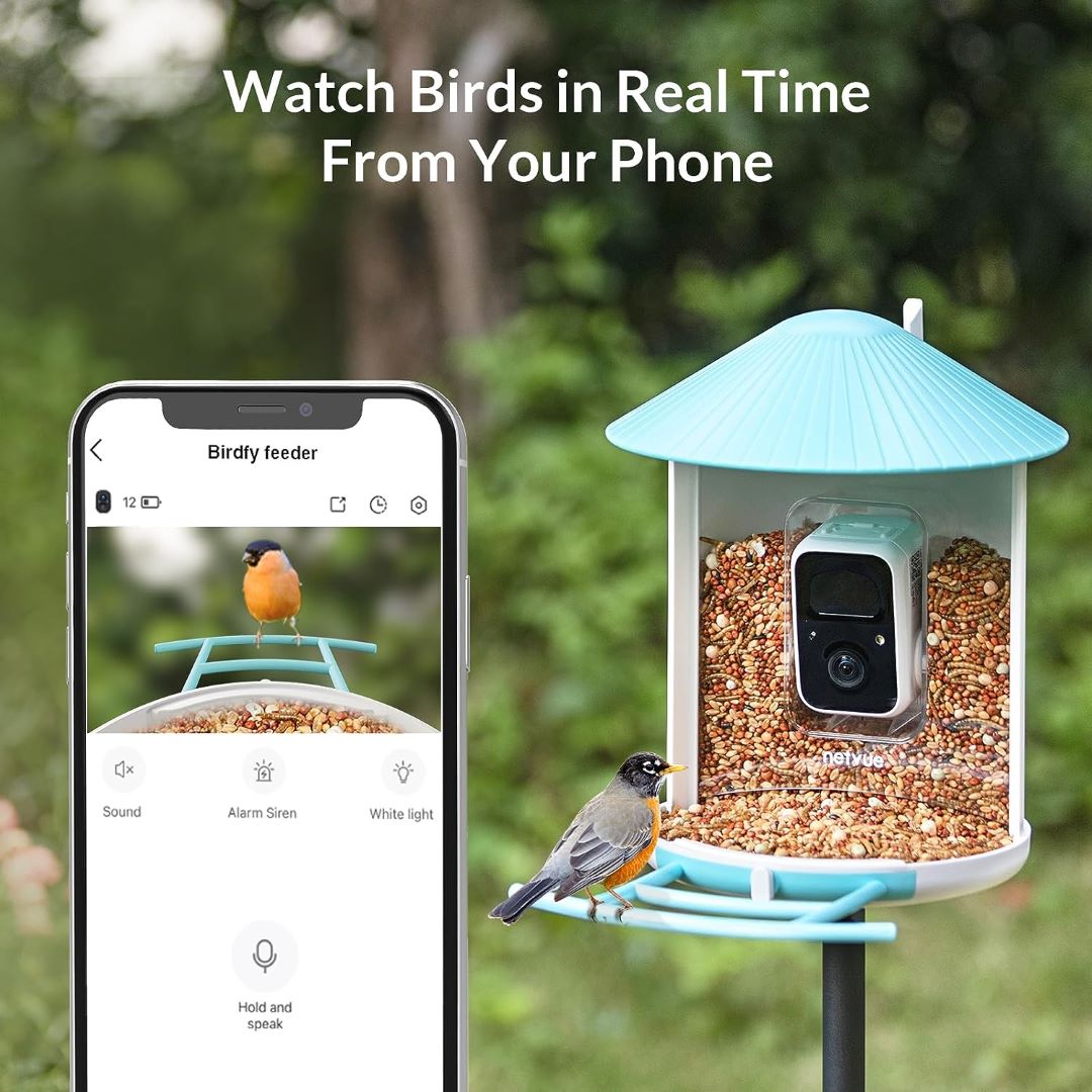 Netvue Birdfy Feeder - Feed, Watch and Record Birds with One Device – netvue