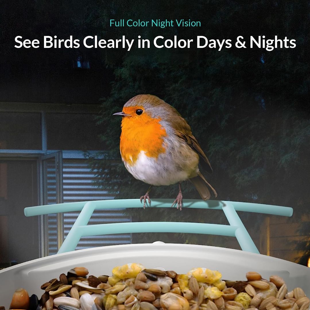 Achetez en gros Smart Bird Feeder Avec Chargeur D'oiseaux à énergie Solaire Avec  Caméra Automatique De Capture Vidéo Ai Chine et Mangeoire à Oiseaux à 65  USD