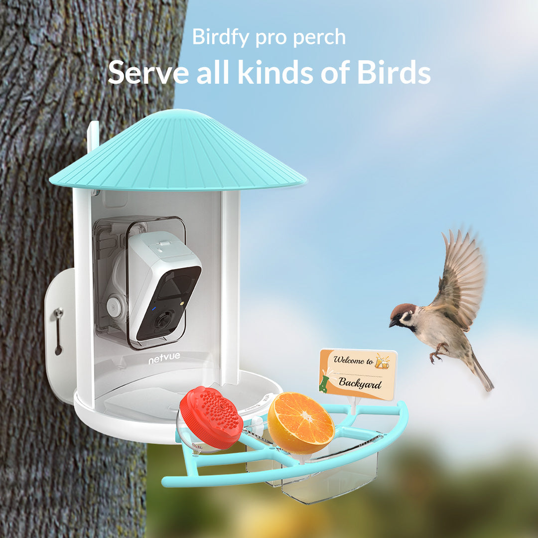 Birdfy Pro Perch Extension